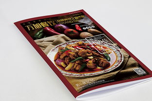 《2016年餐飲視覺盛宴 中餐畫冊四——菜譜、菜單與餐牌的精致設計藝術》